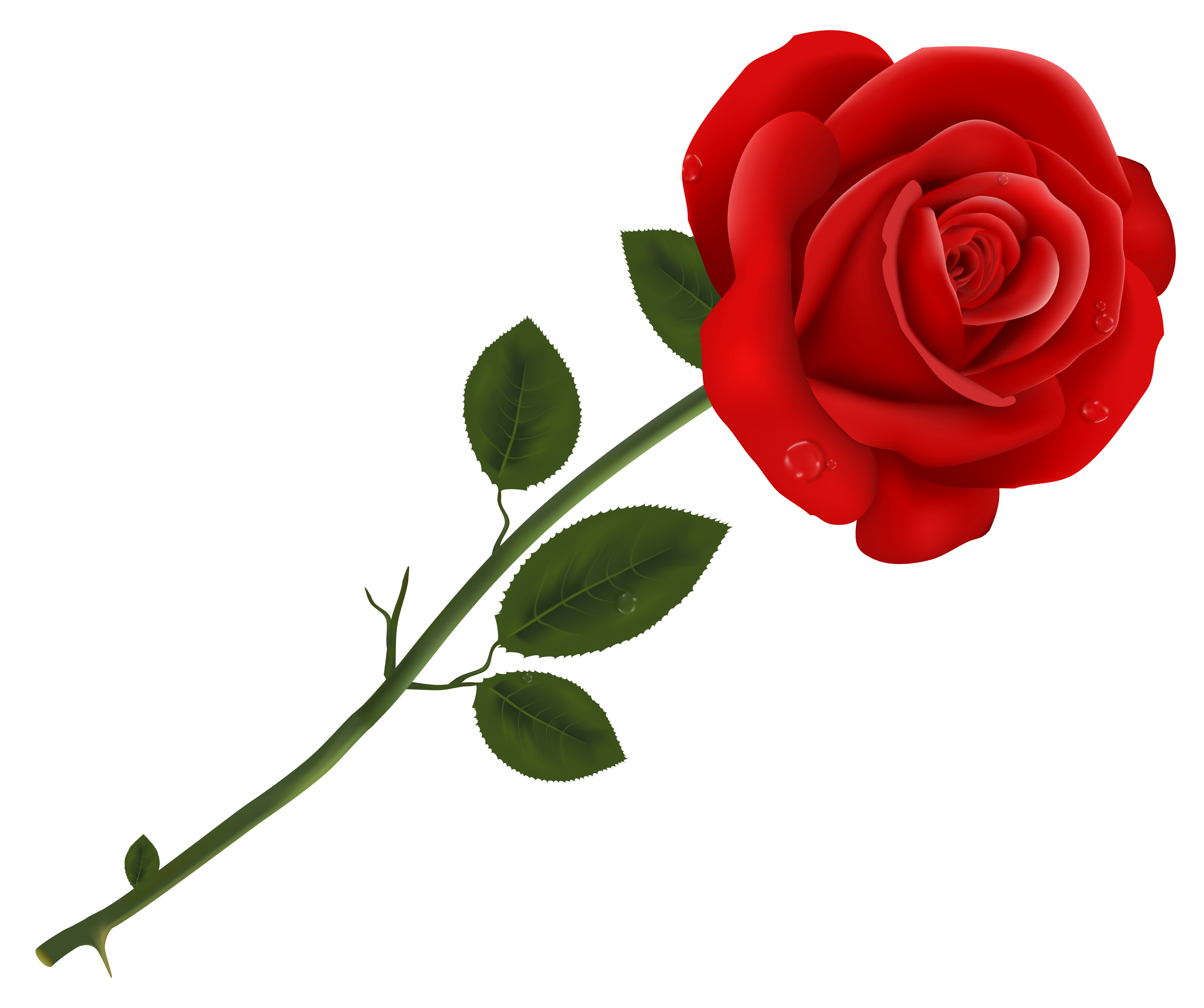 Red Rose Logo
